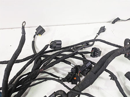 2015 Ducati Hypermotard 821 SP Main Wiring Harness Loom - No Cut 51018451D {{ shop.shopifyCountryName }} - Mototech271