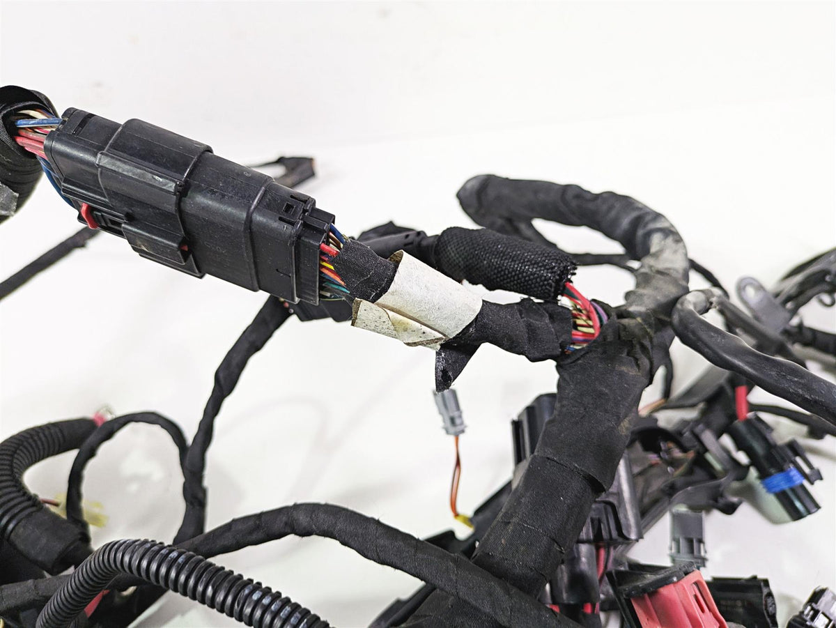 2021 Harley Softail FXST Standard Main Wiring Harness - No Abs - No Cut 69201493 {{ shop.shopifyCountryName }} - Mototech271