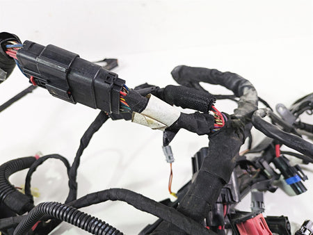 2021 Harley Softail FXST Standard Main Wiring Harness - No Abs - No Cut 69201493 {{ shop.shopifyCountryName }} - Mototech271