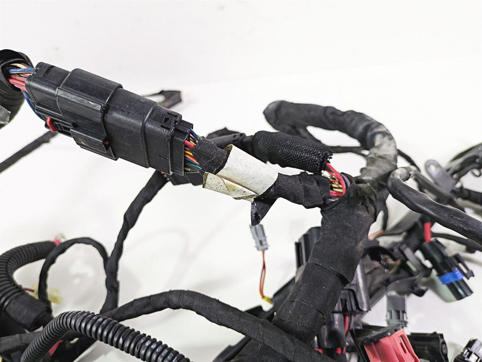 2021 Harley Softail FXST Standard Main Wiring Harness - No Abs - No Cut 69201493 {{ shop.shopifyCountryName }} - Mototech271