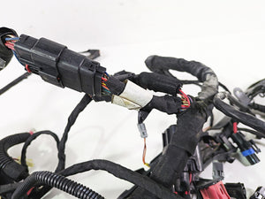 2021 Harley Softail FXST Standard Main Wiring Harness - No Abs - No Cut 69201493