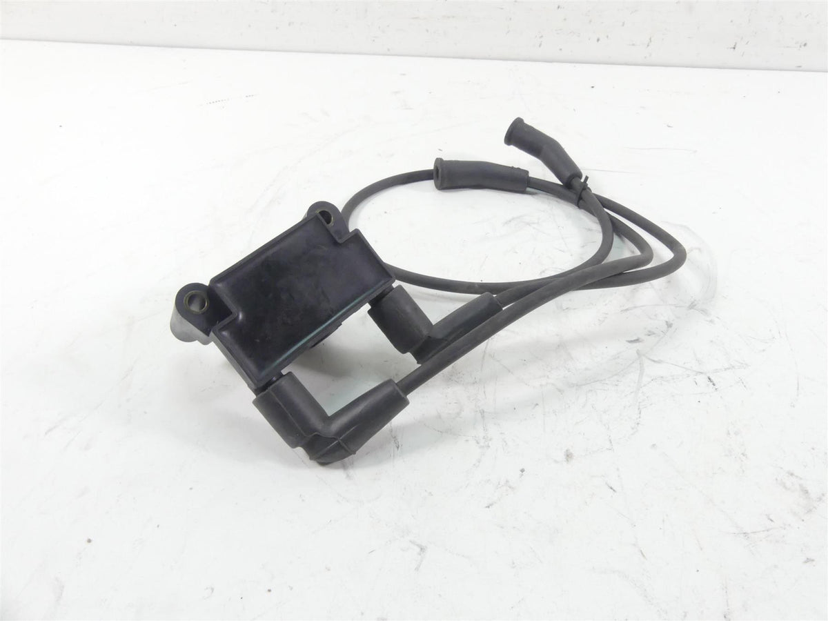 2011 Harley Touring FLTRU Road Glide Delphi Ignition Coil Wires Plugs 31696-07A {{ shop.shopifyCountryName }} - Mototech271