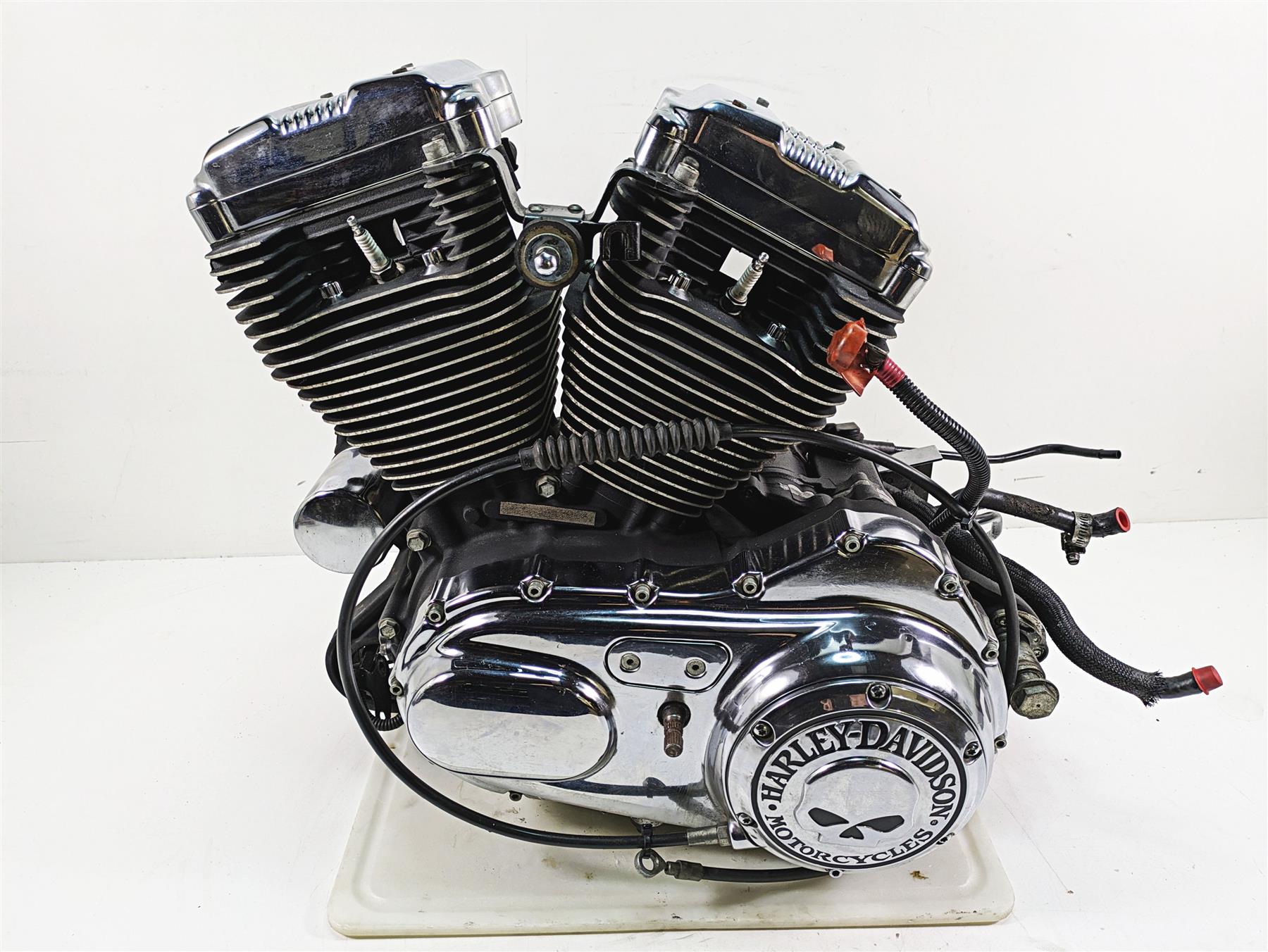 2006 Harley Sportster XL1200 Running Engine Transmission 11k - Video 24466-06B {{ shop.shopifyCountryName }} - Mototech271