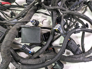 2022 BMW R1250 RT K052 Main & Engine Wiring Harness Esa - Read 61111683202