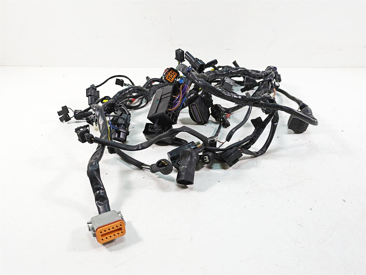 2011 Triumph America Main Wiring Harness Loom - No Cuts T2507611 {{ shop.shopifyCountryName }} - Mototech271