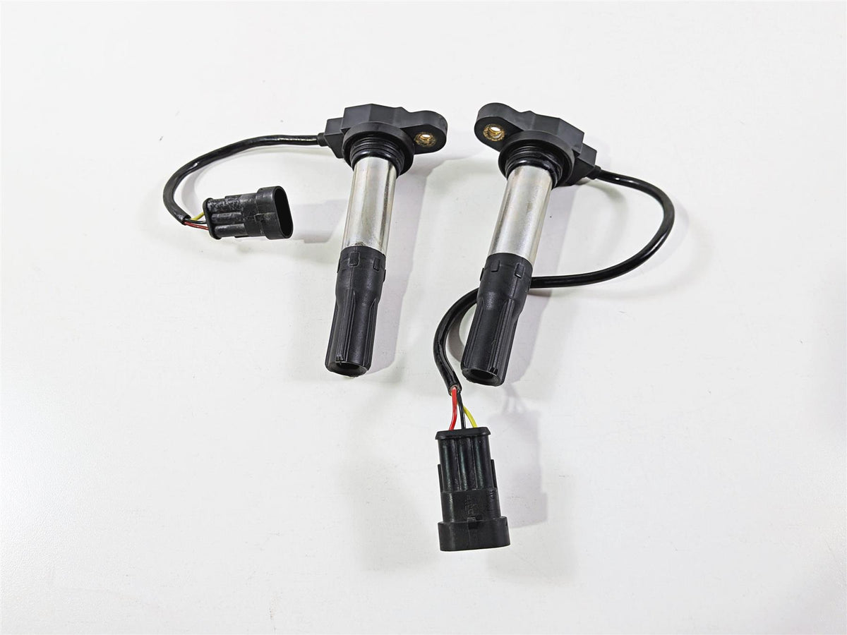 2016 Aprilia RSV 1100 Tuono V4 Factory 2 Eldor Ignition Coils 857084 857501 {{ shop.shopifyCountryName }} - Mototech271