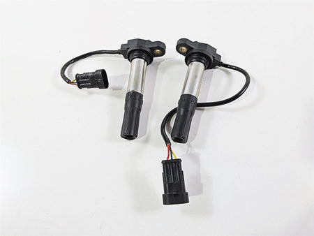 2016 Aprilia RSV 1100 Tuono V4 Factory 2 Eldor Ignition Coils 857084 857501 {{ shop.shopifyCountryName }} - Mototech271