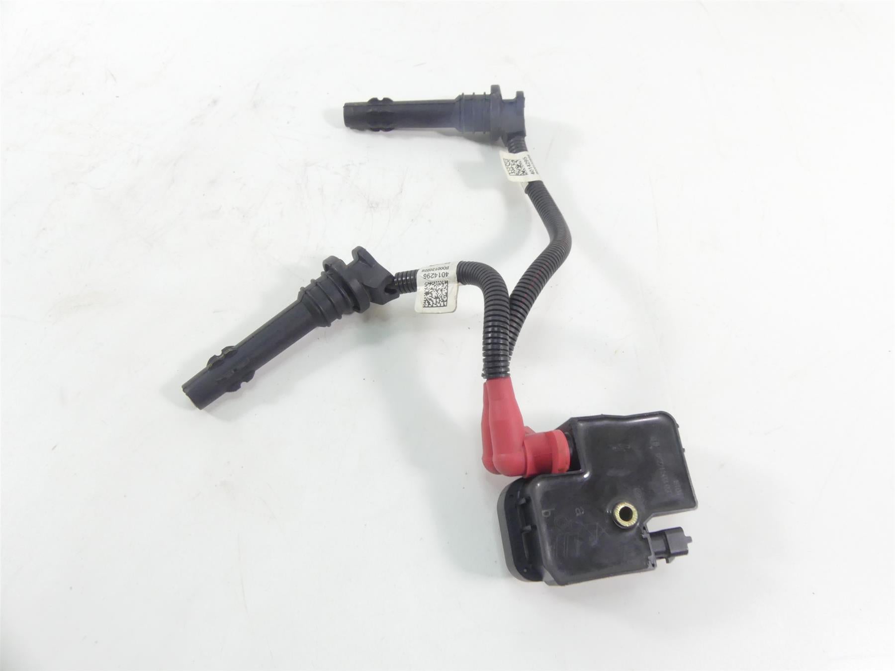 2018 Polaris RZR1000 RS1 Ignition Coils Coil Wires & Plugs 4010425 2876049 {{ shop.shopifyCountryName }} - Mototech271