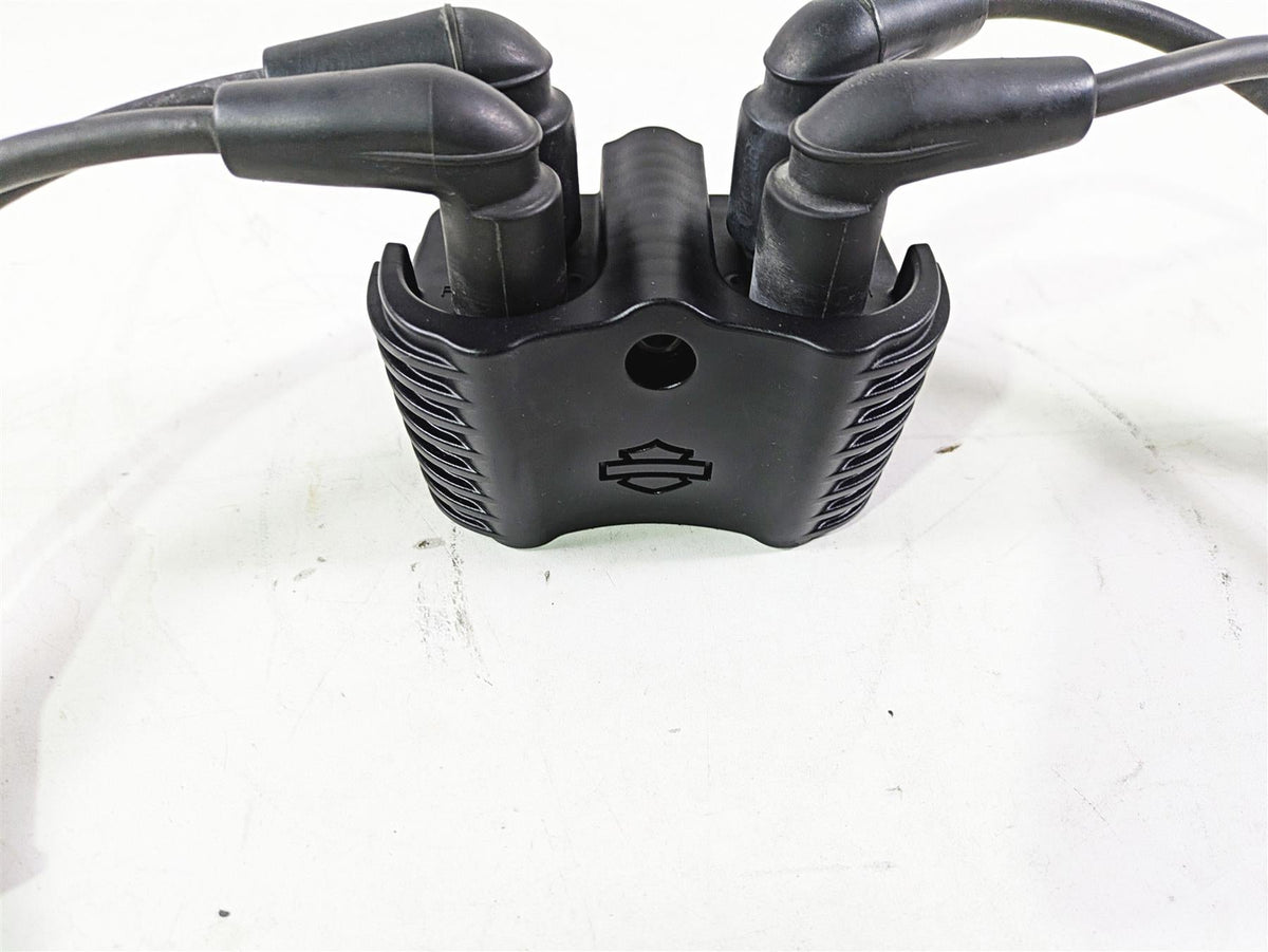 2018 Harley FXBR Softail Breakout Ignition Coil Wires Plugs Set 31600067 {{ shop.shopifyCountryName }} - Mototech271