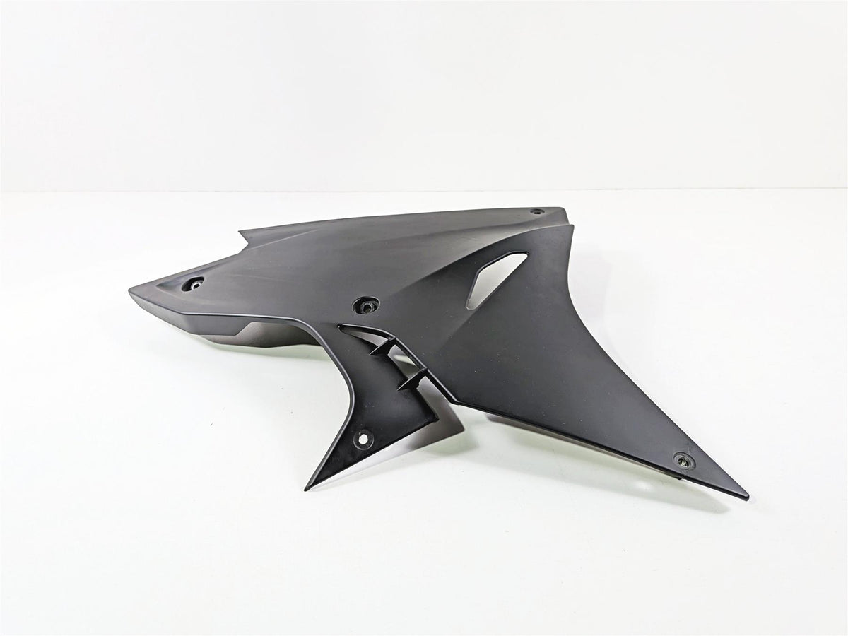 2017 BMW S1000RR K46 Left Oem Stock Belly Fairing Cover 46638563659 {{ shop.shopifyCountryName }} - Mototech271