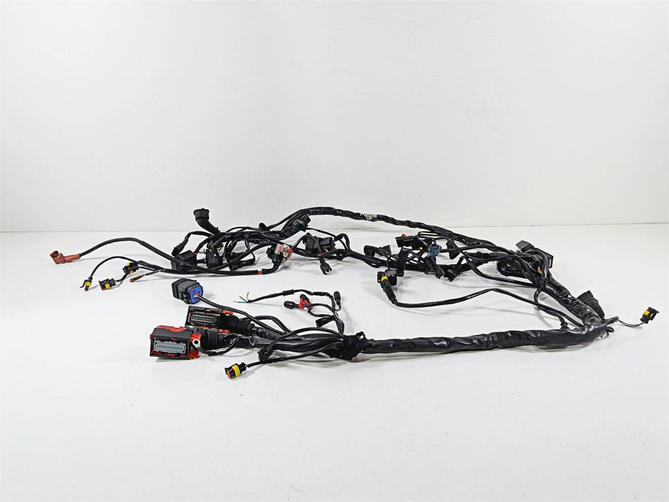 2007 Mv Agusta F4 1000R 312 Clean Main Wiring Harness Loom - Read 8000A9067