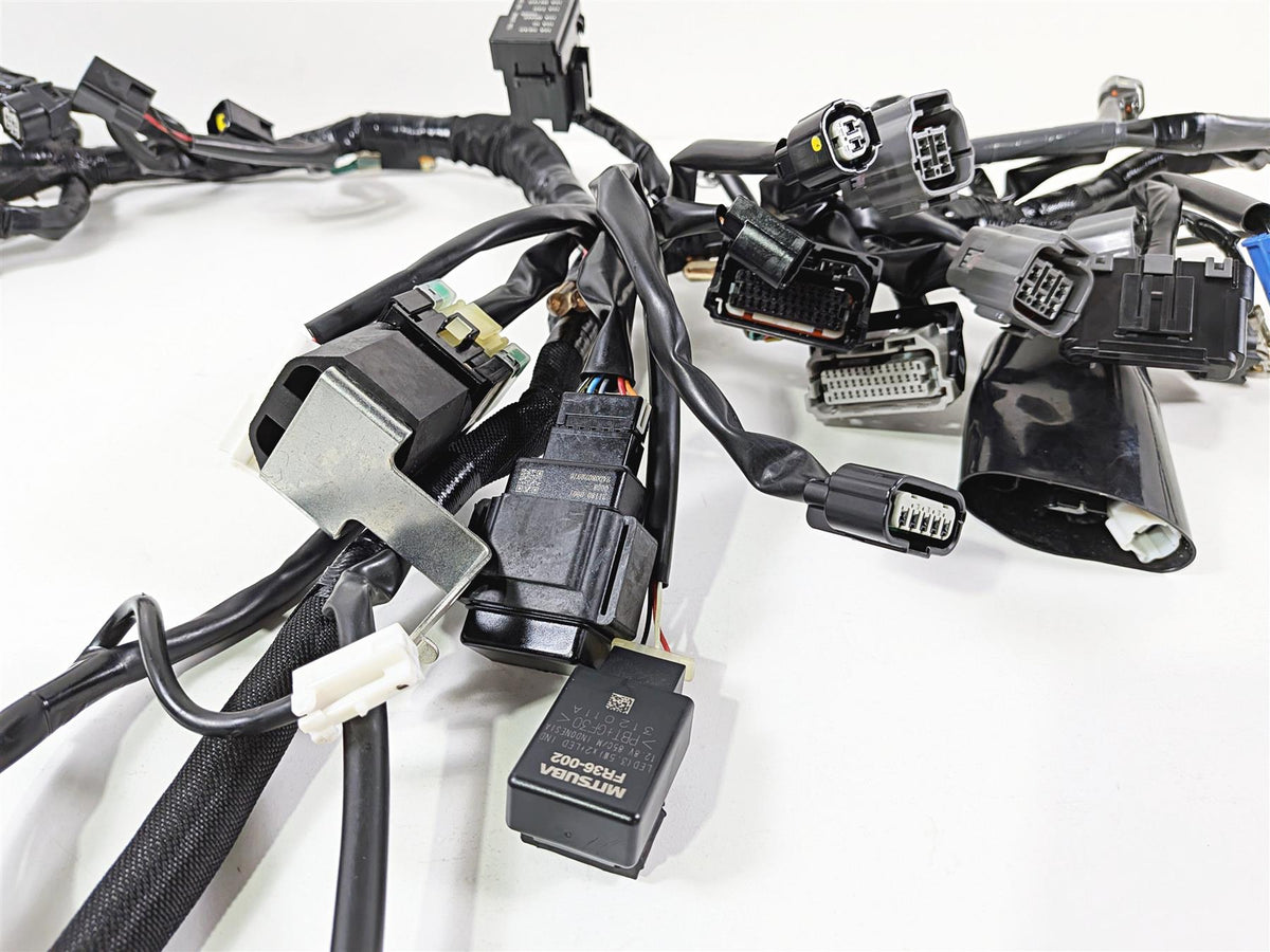 2024 Kawasaki EX500 Ninja 40th An. Wiring Harness Loom -No Cuts 26031-4300 {{ shop.shopifyCountryName }} - Mototech271