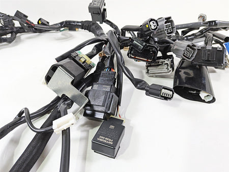 2024 Kawasaki EX500 Ninja 40th An. Wiring Harness Loom -No Cuts 26031-4300 {{ shop.shopifyCountryName }} - Mototech271