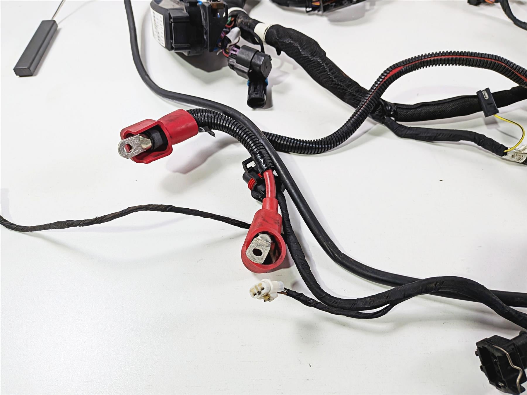 2015 Indian Chieftain Main Wiring Harness Loom - Read 2412300-Mototech271