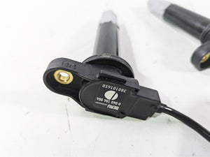 2018 Ducati Hypermotard 939 SP Beru Ignition Coil Set 38010145B | Mototech271