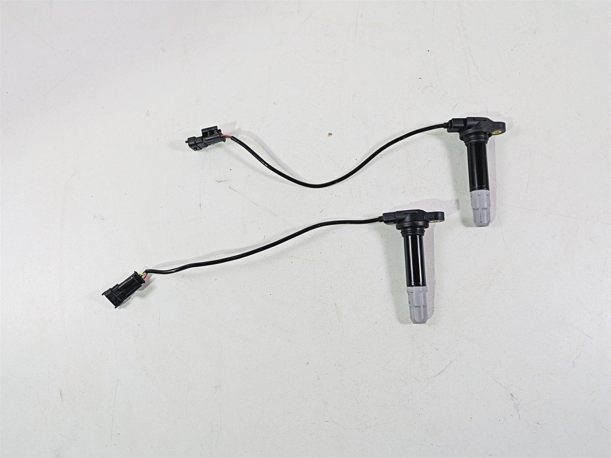 2013 Ducati Hypermotard 821 SP Beru Ignition Coil Set 38010145B {{ shop.shopifyCountryName }} - Mototech271