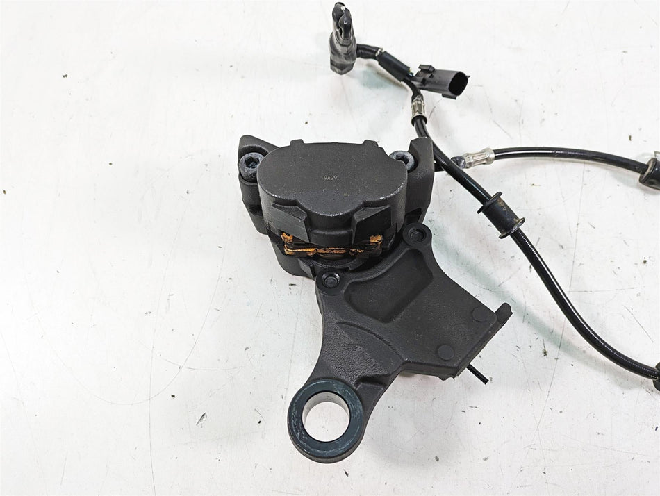 2019 Harley XL883N Sportster Iron Rear Brake Caliper & Bracket, Line 41300039 {{ shop.shopifyCountryName }} - Mototech271