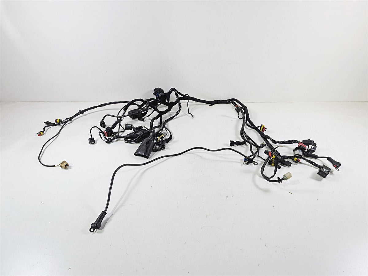 2009 Ducati Hypermotard 1100 S Wiring Harness Loom - Read 51015441A-Mototech271