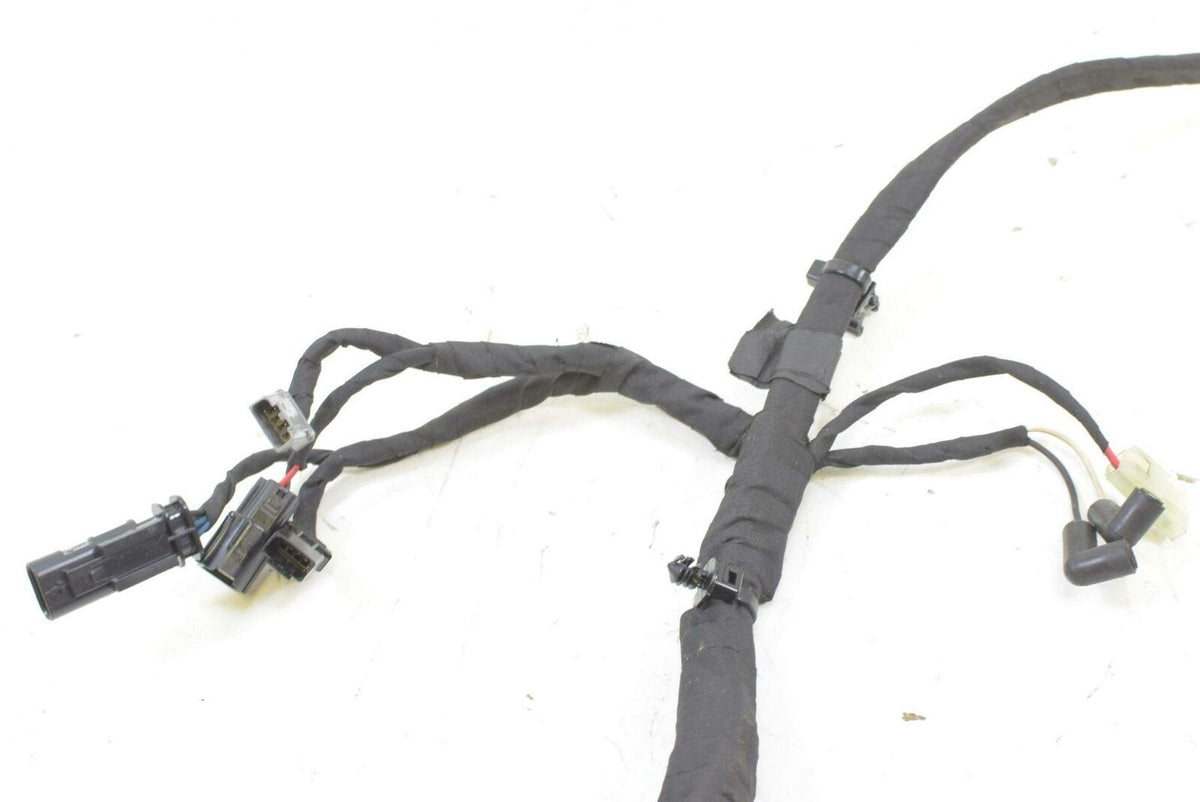 2019 Harley Softail FXLR Low Rider Wiring Harness Loom -Non Abs -No Cuts 6920149 {{ shop.shopifyCountryName }} - Mototech271