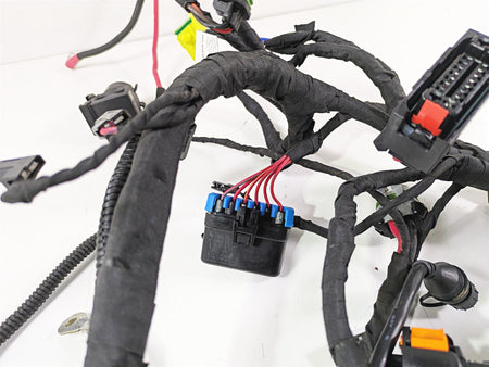 2024 Harley Sportster RH975 S Main Wiring Harness Loom - READ 69203115A {{ shop.shopifyCountryName }} - Mototech271