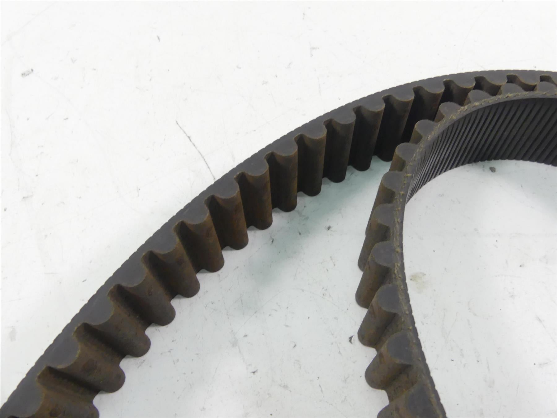 1998 Harley Dyna FXDL Low Rider Rear Main Drive Belt 133T 1-1/2" 40015-90 {{ shop.shopifyCountryName }} - Mototech271