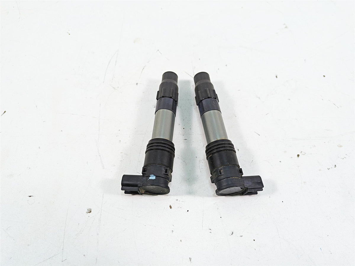 2016 Kawasaki Ninja EX300 Denso Ignition Coil Set 21171-0033 129700-5430 {{ shop.shopifyCountryName }} - Mototech271