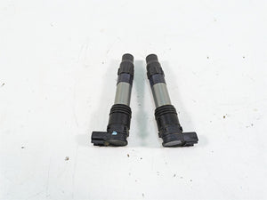 2016 Kawasaki Ninja EX300 Denso Ignition Coil Set 21171-0033 129700-5430