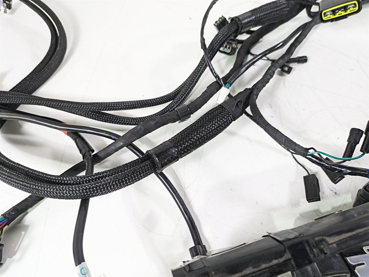 2020 Triumph Daytona 765 Moto2 Wiring Harness Loom - No Cuts T2505041 {{ shop.shopifyCountryName }} - Mototech271