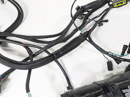 2020 Triumph Daytona 765 Moto2 Wiring Harness Loom - No Cuts T2505041 {{ shop.shopifyCountryName }} - Mototech271