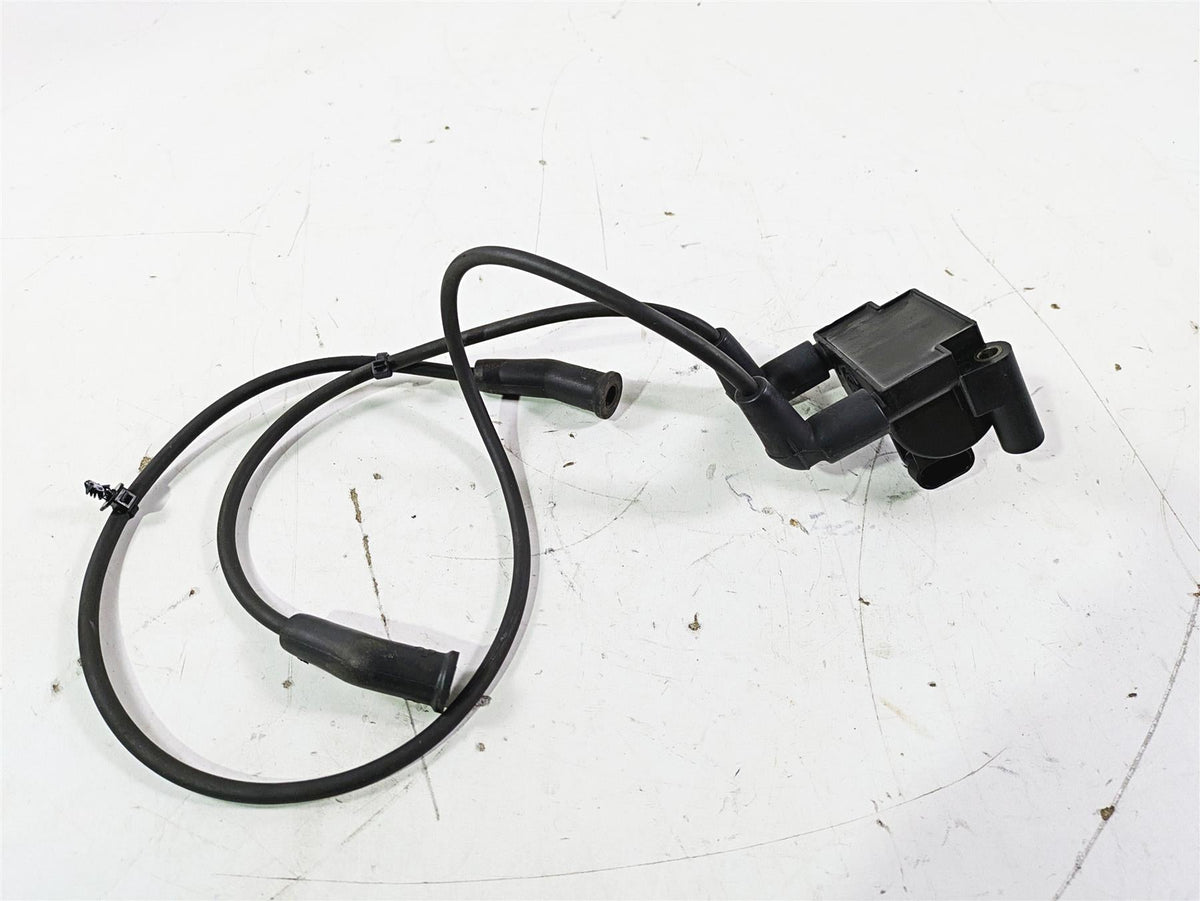 2016 Harley Touring FLTRX Road Glide Ignition Coil & Wires Set Delphi 31696-07A {{ shop.shopifyCountryName }} - Mototech271