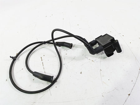 2016 Harley Touring FLTRX Road Glide Ignition Coil & Wires Set Delphi 31696-07A {{ shop.shopifyCountryName }} - Mototech271