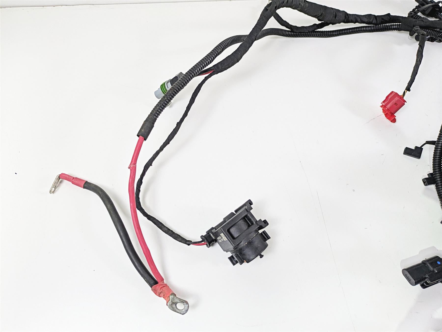 2024 Harley Sportster RH975 S Main Wiring Harness Loom - READ 69203115A {{ shop.shopifyCountryName }} - Mototech271