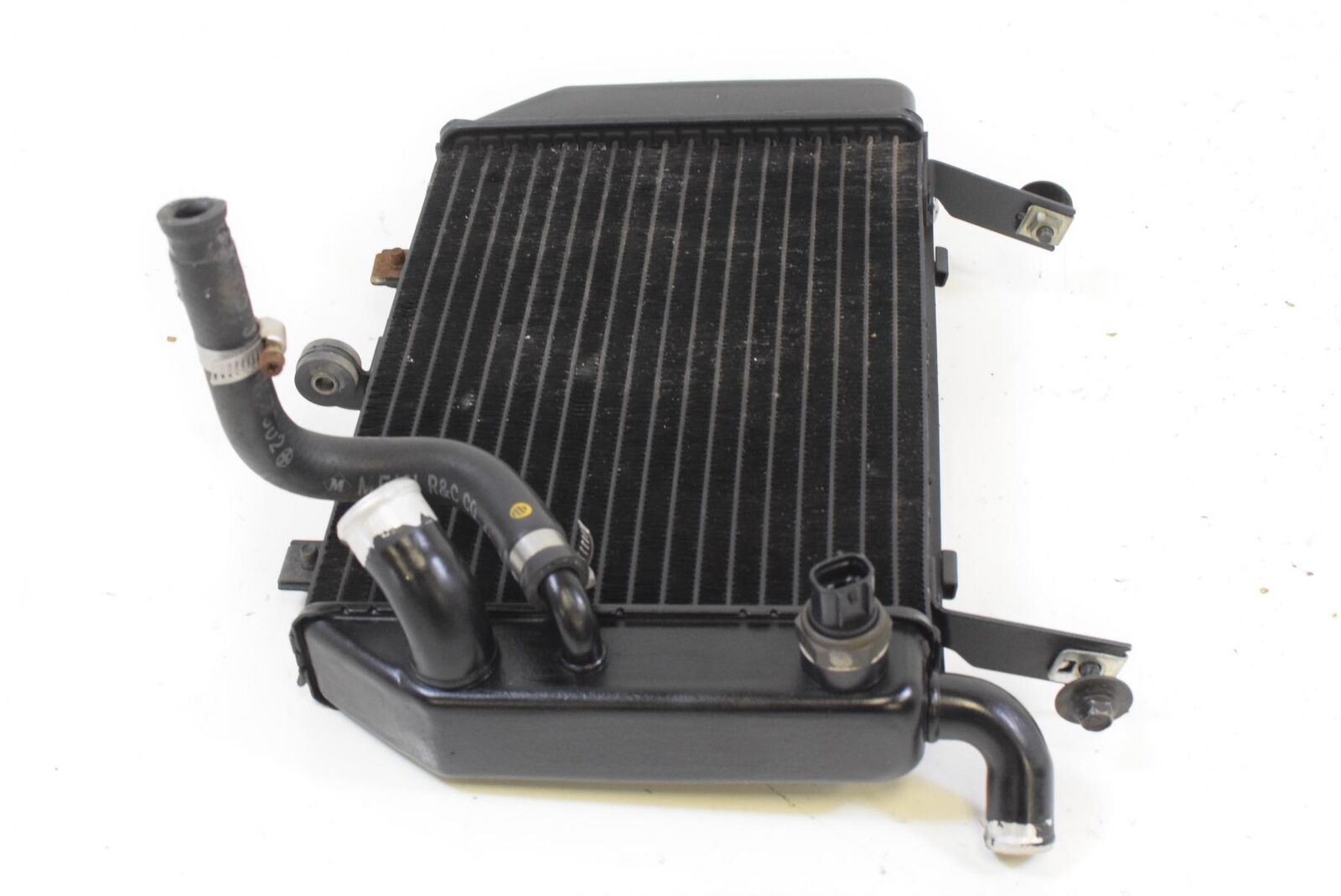 2000 Suzuki TL1000R TL1000 Lower Coolant Radiator NICE SHAPE NO LEAK 17720-02FA0 {{ shop.shopifyCountryName }} - Mototech271