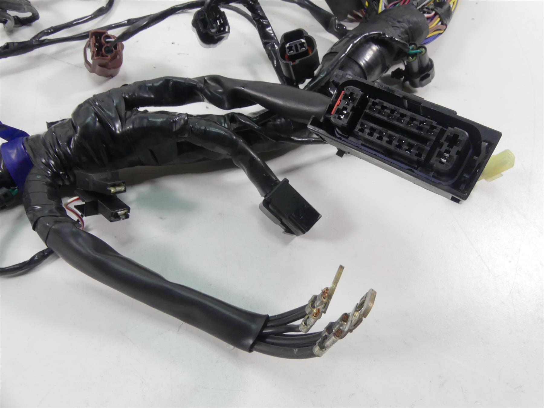 2020 Triumph Speed Triple RS 1050 Wiring Harness Loom -No Cuts T2502526 {{ shop.shopifyCountryName }} - Mototech271