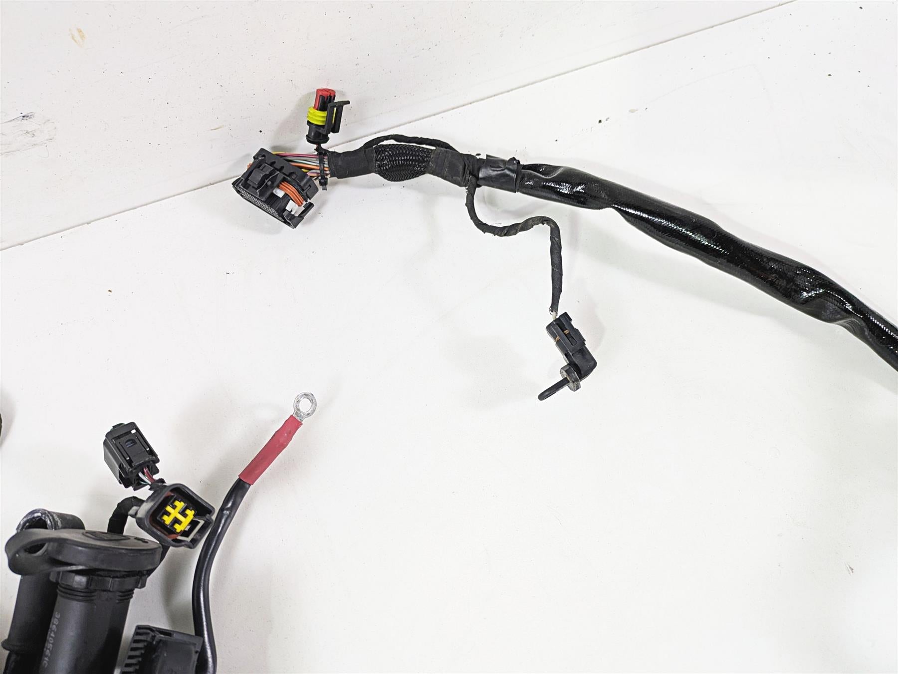 2022 Ducati Scrambler Desert Sled Main Wiring Harness Loom - Read 5101E241C {{ shop.shopifyCountryName }} - Mototech271