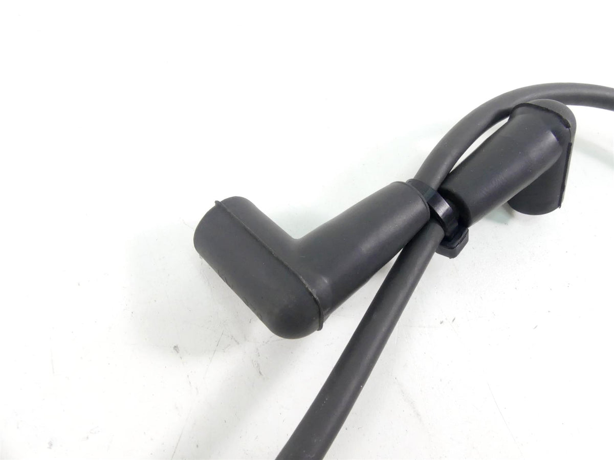 2017 Harley Softail FXSB Breakout Delphi Ignition Coil Wires Plugs Set 31696-07A {{ shop.shopifyCountryName }} - Mototech271
