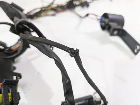 2007 Harley Sportster XL1200 C Main Wiring Harness Loom - For Parts 70224-07 {{ shop.shopifyCountryName }} - Mototech271