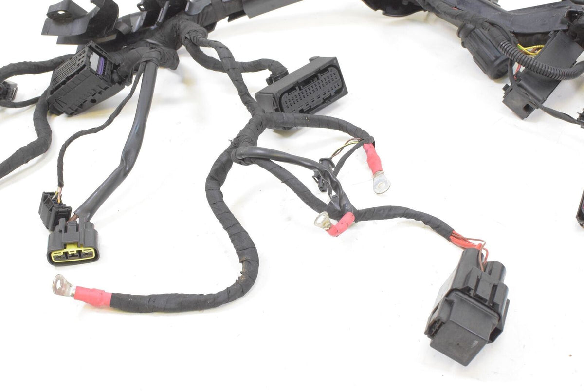 2014 BMW R1200 RT K52 Main Wiring Harness Loom Central Locking ESA 61118554241 {{ shop.shopifyCountryName }} - Mototech271