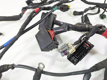 2016 Ducati Monster 1200 S Main Wiring Harness Loom -No Cuts 51019401C {{ shop.shopifyCountryName }} - Mototech271