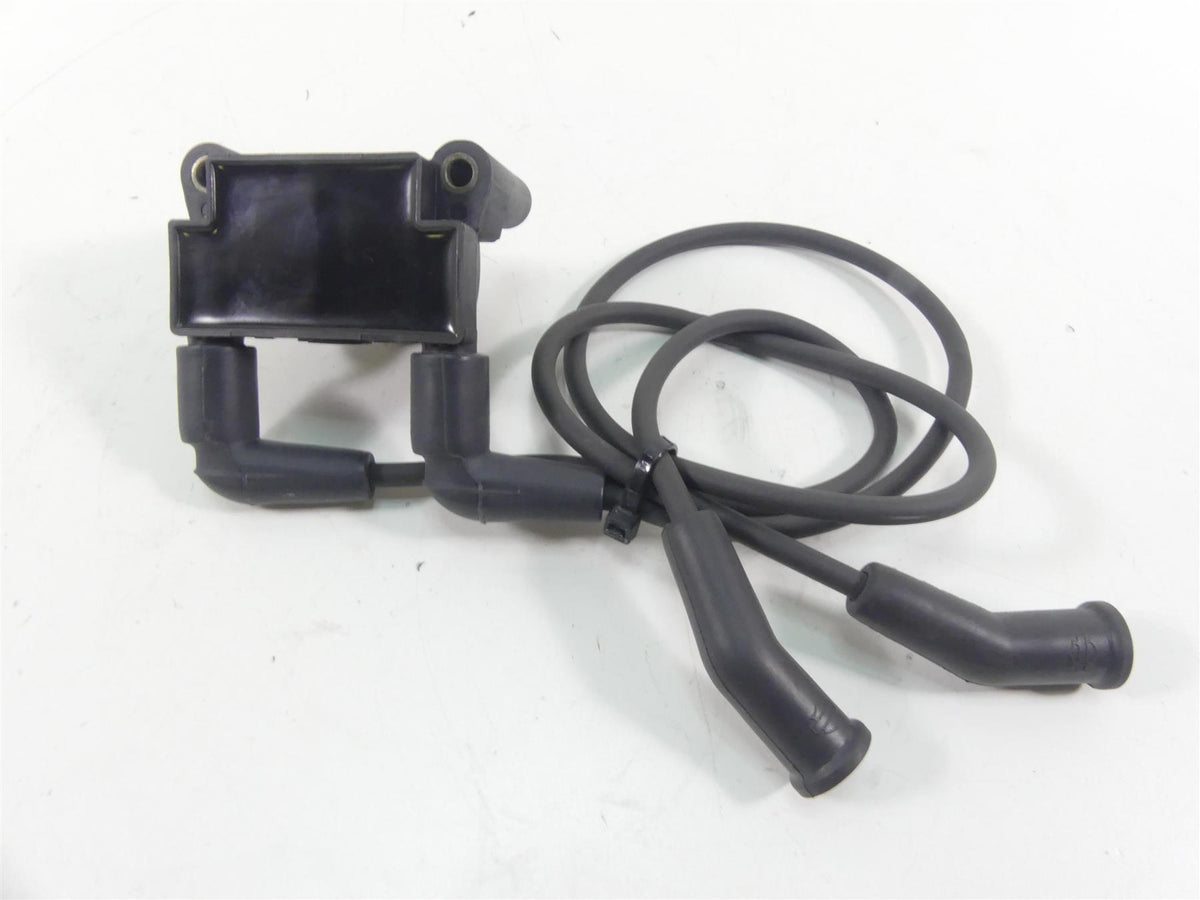2016 Harley Touring FLHR Road King Delphi Ignition Coil Wires Plugs 31696-07A {{ shop.shopifyCountryName }} - Mototech271