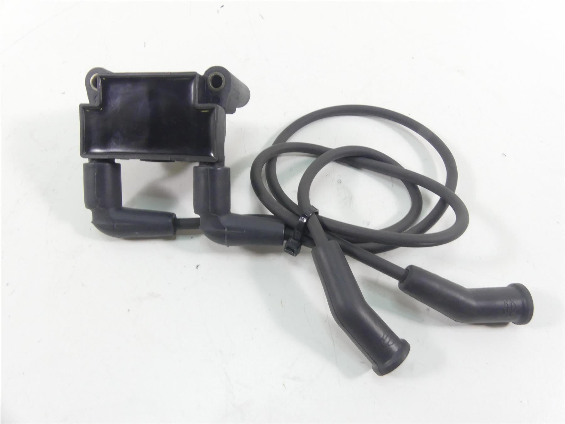 2016 Harley Touring FLHR Road King Delphi Ignition Coil Wires Plugs 31696-07A {{ shop.shopifyCountryName }} - Mototech271