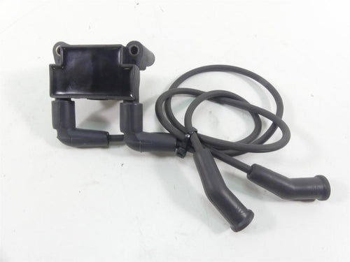 2016 Harley Touring FLHR Road King  Delphi Ignition Coil Wires Plugs 31696-07A | Mototech271