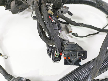 2017 Harley Dyna FXDB Street Bob Main Wiring Harness Loom Non Abs 71072-12A {{ shop.shopifyCountryName }} - Mototech271