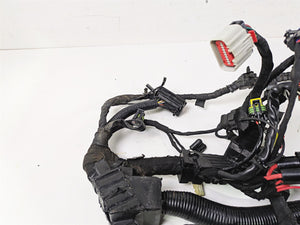 2016 Harley FXDWG Dyna Wide Glide Main Wiring Harness Loom Abs -Read 69201534