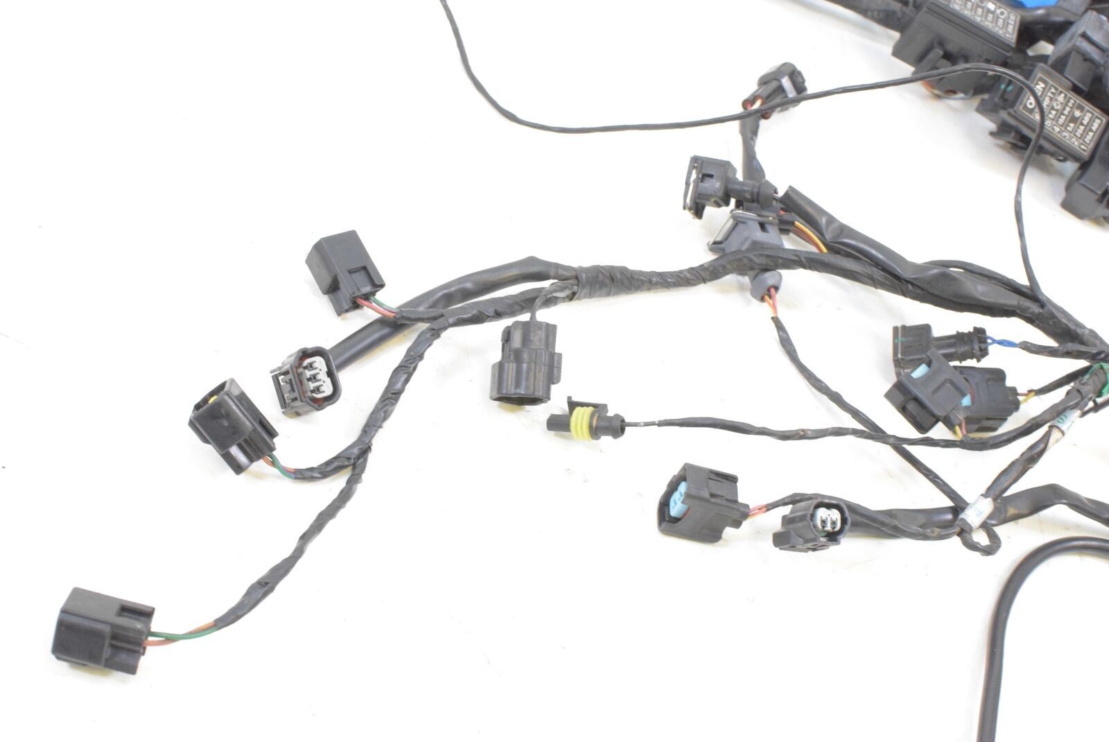 2013 Triumph Speed Triple 1050 R Wiring Harness Loom ABS T2504502 {{ shop.shopifyCountryName }} - Mototech271