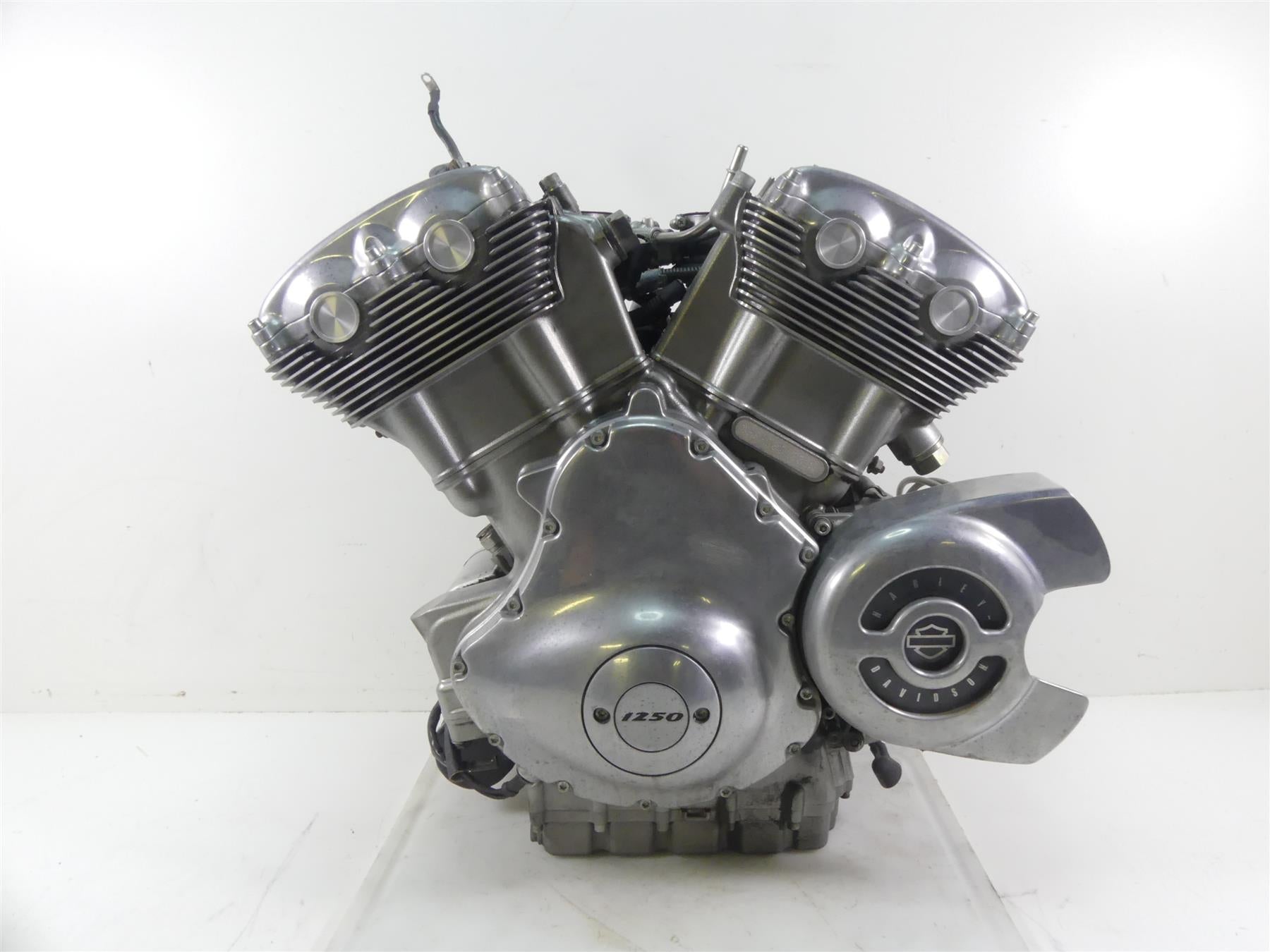 2013 Harley VRSCF Muscle V-Rod Running 1250ccm Engine Motor 15K -Video 19974-17K {{ shop.shopifyCountryName }} - Mototech271