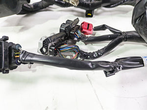 2022 Kawasaki ZR900RS Cafe Main Wiring Harness Loom - No Cuts 26031-2950