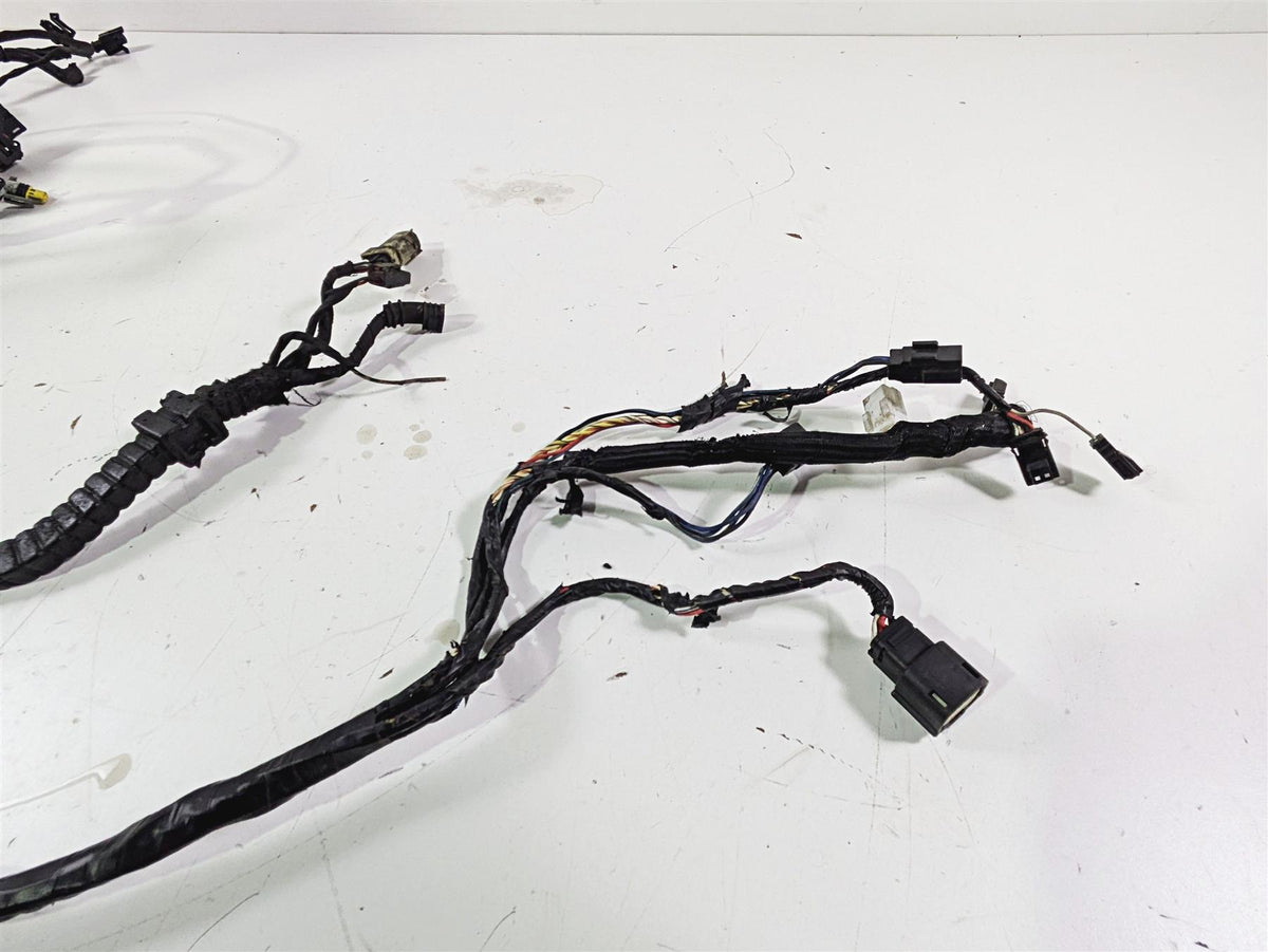 2016 Harley FXDL Dyna Low Rider Main Wiring Harness Loom - No Abs -Read 69200455 {{ shop.shopifyCountryName }} - Mototech271