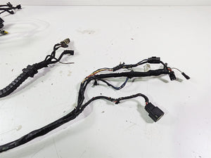 2016 Harley FXDL Dyna Low Rider Main Wiring Harness Loom - No Abs -Read 69200455