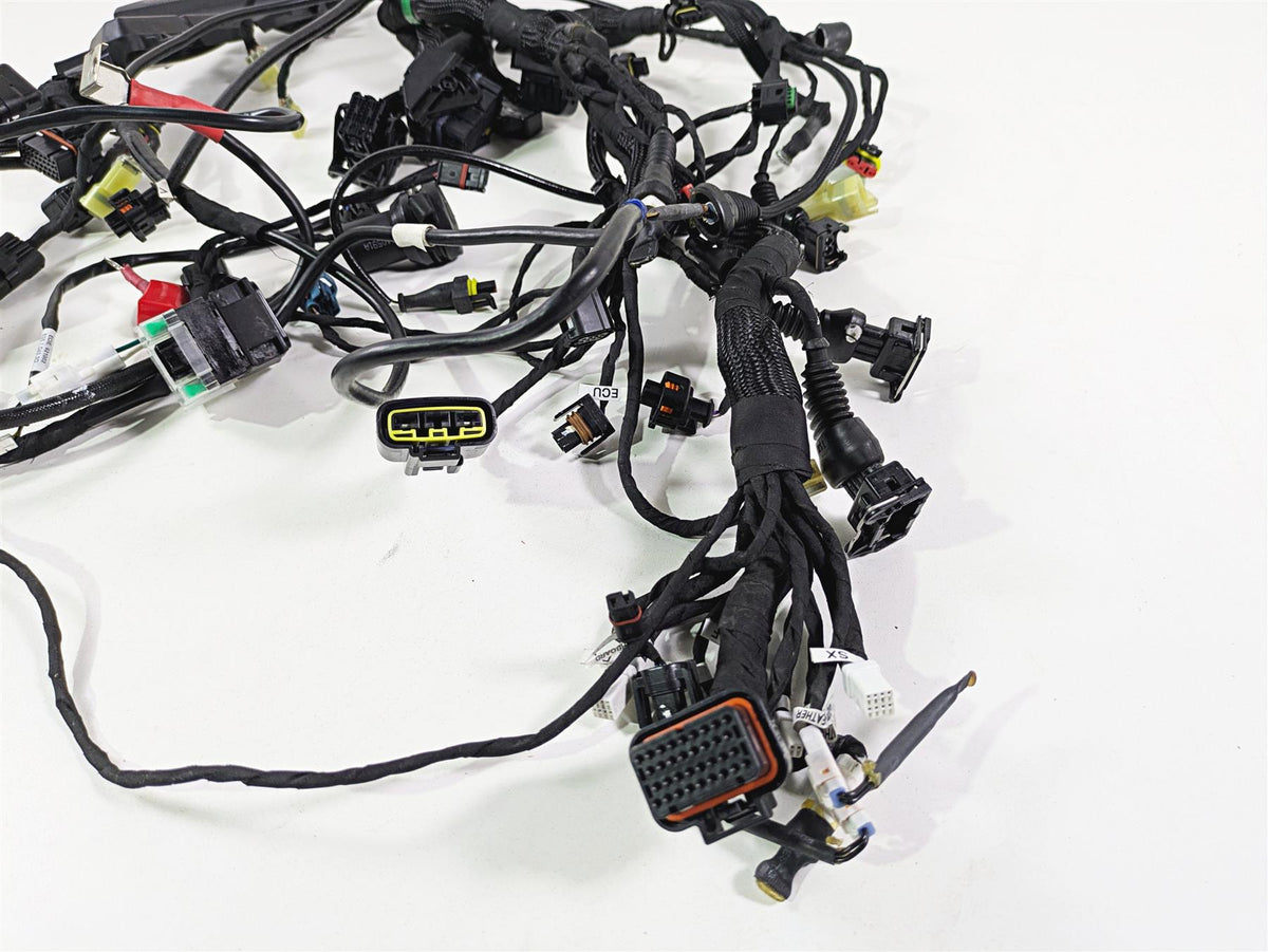 2022 Ducati Hypermotard 950 Wiring Harness Loom - No Cuts 5101D071E {{ shop.shopifyCountryName }} - Mototech271